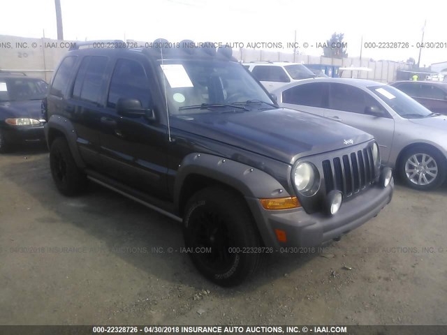 1J4GK38K95W612759 - 2005 JEEP LIBERTY RENEGADE BROWN photo 1