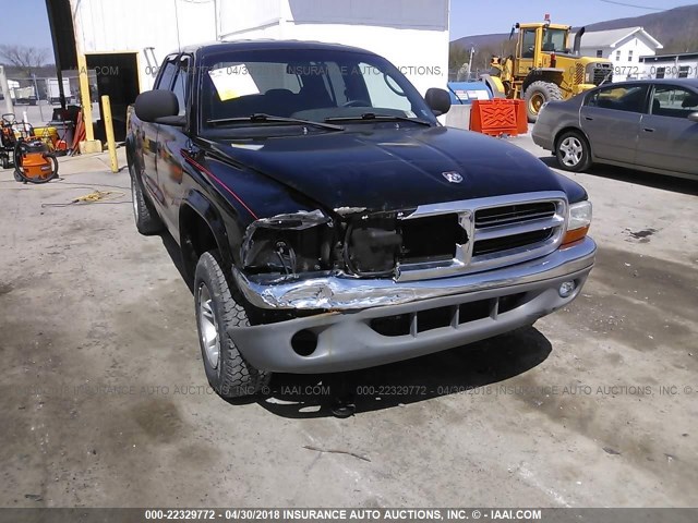 1B7GG2ANXYS666105 - 2000 DODGE DAKOTA QUAD BLACK photo 6