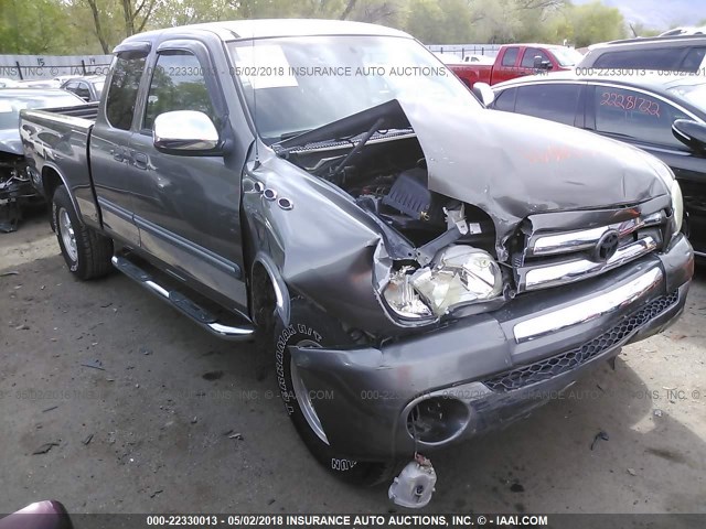 5TBBT44173S418415 - 2003 TOYOTA TUNDRA ACCESS CAB SR5 GRAY photo 1