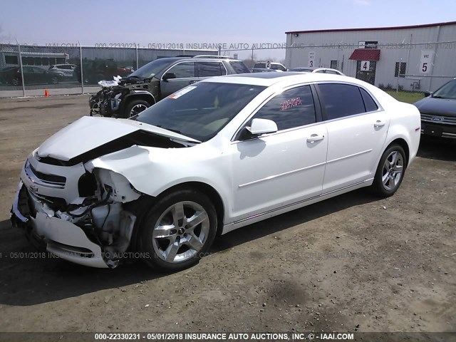 1G1ZC5E1XBF280774 - 2011 CHEVROLET MALIBU 1LT 白色 照片 2