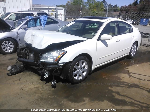 1N4BA41E67C813462 - 2007 NISSAN MAXIMA SE/SL WHITE photo 2