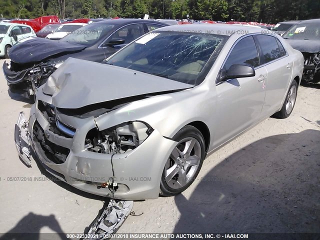 1G1ZB5E16BF265921 - 2011 CHEVROLET MALIBU LS 米色 照片 2
