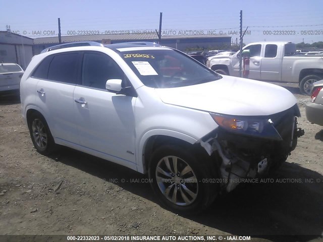 5XYKWDA24BG150656 - 2011 KIA SORENTO SX WHITE photo 1