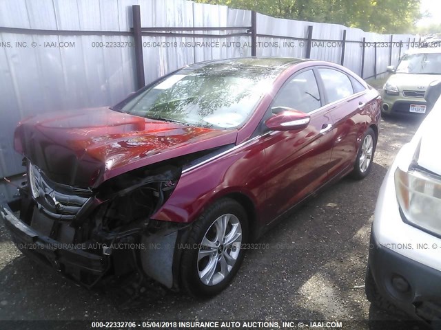 5NPEC4AC1DH590182 - 2013 HYUNDAI SONATA SE/LIMITED RED photo 2