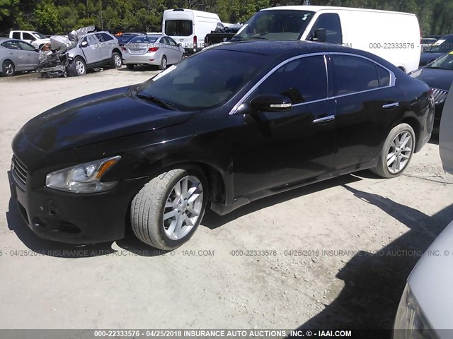 1N4AA5AP5AC835253 - 2010 NISSAN MAXIMA S/SV BLACK photo 2