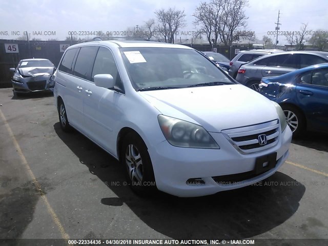 5FNRL38765B084979 - 2005 HONDA ODYSSEY EXL თეთრი ფოტო 1