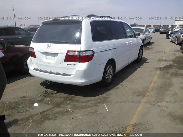 5FNRL38765B084979 - 2005 HONDA ODYSSEY EXL WHITE photo 4