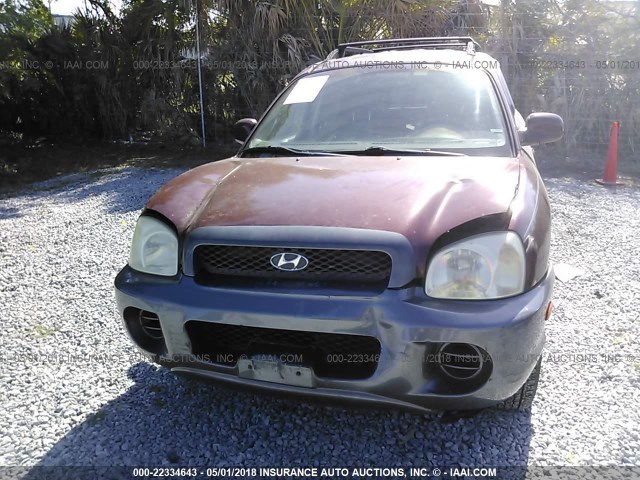 KM8SB12B54U677417 - 2004 HYUNDAI SANTA FE GL BROWN photo 6