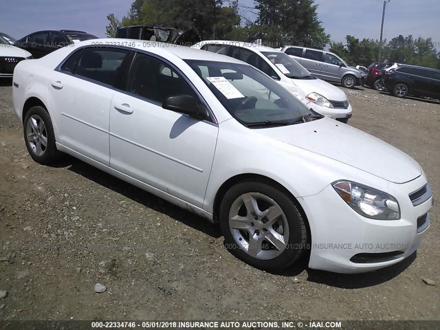 1G1ZA5EU5CF398300 - 2012 CHEVROLET MALIBU LS 白色 照片 1