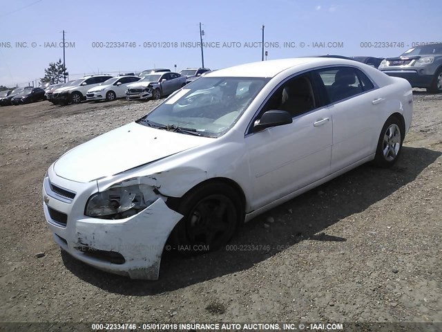 1G1ZA5EU5CF398300 - 2012 CHEVROLET MALIBU LS 白色 照片 2