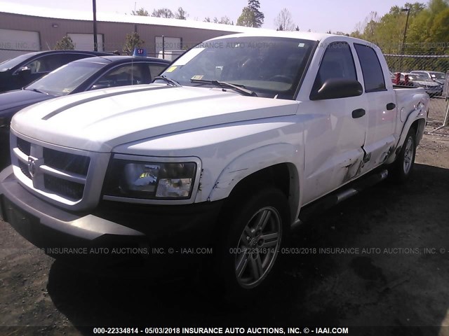 1D7HE38K48S576935 - 2008 DODGE DAKOTA SXT WHITE photo 2