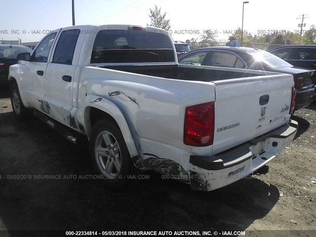 1D7HE38K48S576935 - 2008 DODGE DAKOTA SXT WHITE photo 3