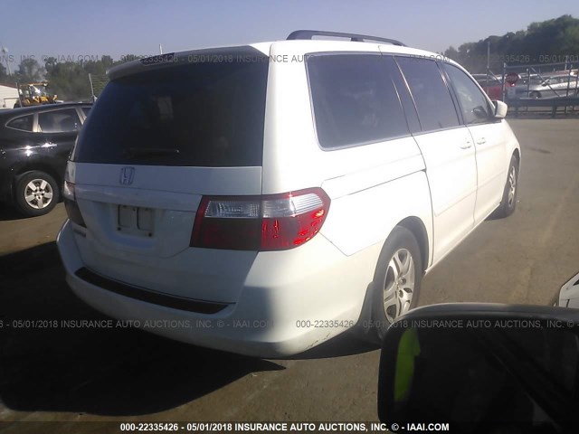 5FNRL38696B416485 - 2006 HONDA ODYSSEY EXL თეთრი ფოტო 4