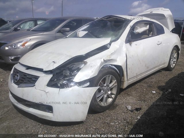 1N4BL24E08C144469 - 2008 NISSAN ALTIMA 3.5SE WHITE photo 2