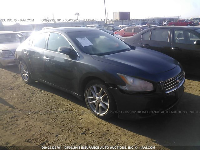 1N4AA5AP5AC839593 - 2010 NISSAN MAXIMA S/SV GRAY photo 1