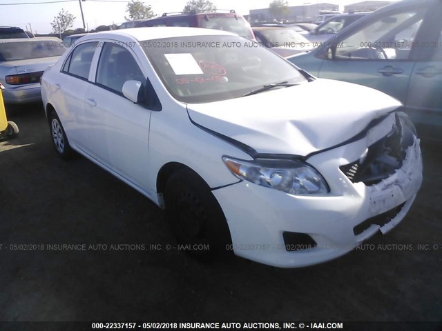 2T1BU4EE3AC505451 - 2010 TOYOTA COROLLA S/LE/XLE თეთრი ფოტო 1