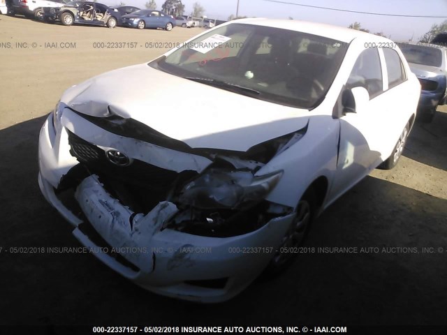 2T1BU4EE3AC505451 - 2010 TOYOTA COROLLA S/LE/XLE WHITE photo 2