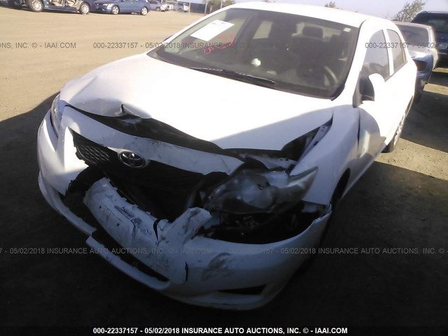 2T1BU4EE3AC505451 - 2010 TOYOTA COROLLA S/LE/XLE თეთრი ფოტო 6