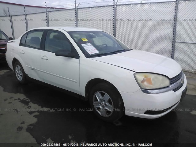 1G1ZT52875F333260 - 2005 CHEVROLET MALIBU LS WHITE photo 1