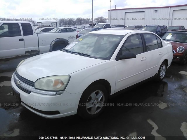 1G1ZT52875F333260 - 2005 CHEVROLET MALIBU LS WHITE photo 2