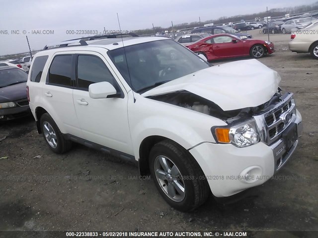 1FMCU0E77BKB03197 - 2011 FORD ESCAPE LIMITED WHITE photo 1