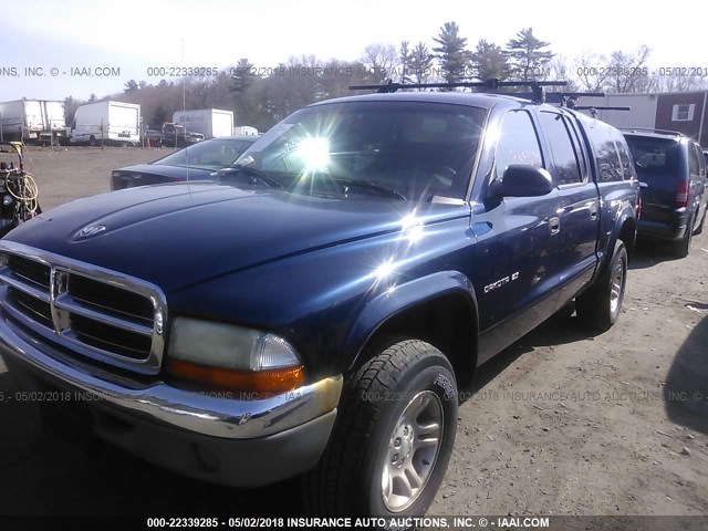 1B7HG2AN31S325543 - 2001 DODGE DAKOTA QUAD BLUE photo 2