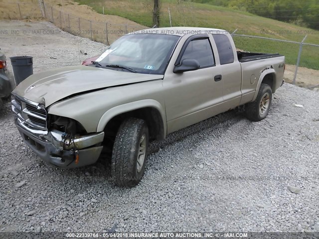 1D7HG42X73S378606 - 2003 DODGE DAKOTA SLT GOLD photo 2