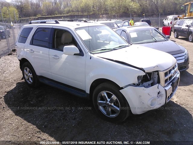 1FMCU0EG8BKC36633 - 2011 FORD ESCAPE LIMITED WHITE photo 1