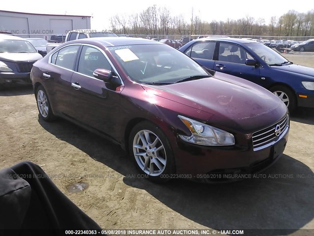 1N4AA5AP8AC840687 - 2010 NISSAN MAXIMA S/SV RED photo 1