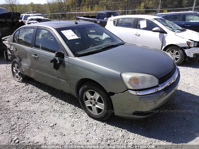 1G1ZT54885F286608 - 2005 CHEVROLET MALIBU LS ოქროსფერი ფოტო 1
