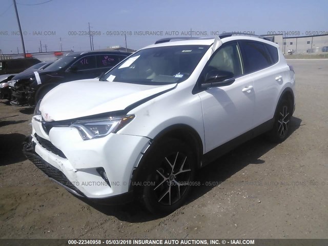 JTMNFREV5HJ111839 - 2017 TOYOTA RAV4 SE თეთრი ფოტო 2