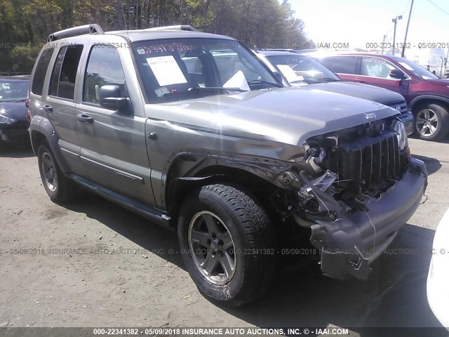 1J4GL38K65W522689 - 2005 JEEP LIBERTY RENEGADE GRAY photo 1