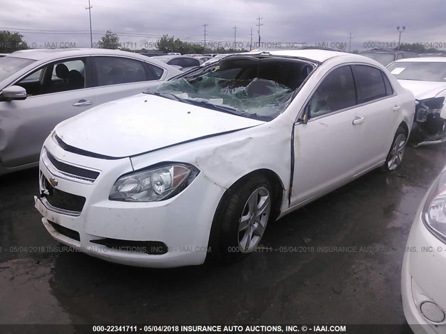 1G1ZA5E03CF347682 - 2012 CHEVROLET MALIBU LS 白色 照片 2