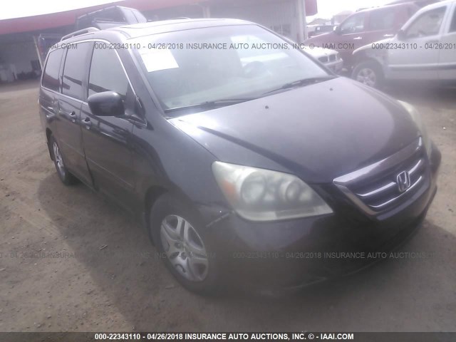 5FNRL38716B431555 - 2006 HONDA ODYSSEY EXL BLACK photo 1