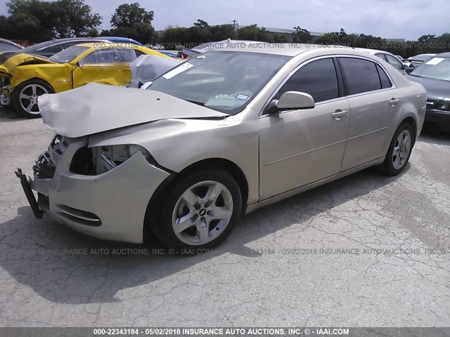 1G1ZH57B79F194243 - 2009 CHEVROLET MALIBU 1LT 金色 照片 2