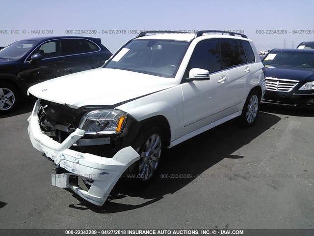 WDCGG5GB5BF651715 - 2011 MERCEDES-BENZ GLK 350 WHITE photo 2