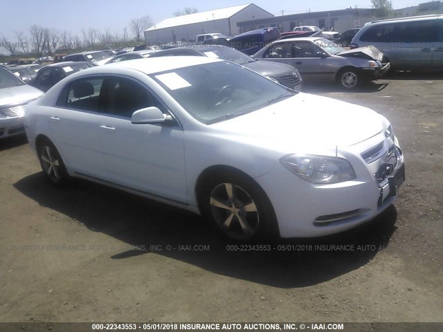 1G1ZC5E11BF280310 - 2011 CHEVROLET MALIBU 1LT 白色 照片 1