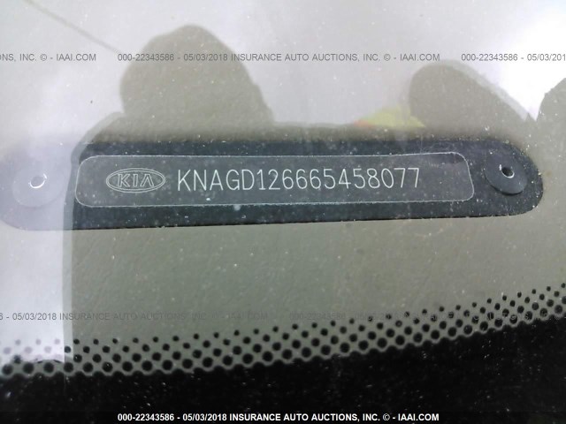 KNAGD126665458077 - 2006 KIA OPTIMA LX/EX WHITE photo 9