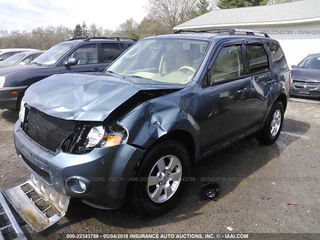 1FMCU9EG0BKA86490 - 2011 FORD ESCAPE LIMITED Light Blue photo 2