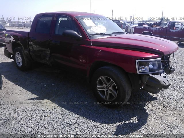 1D7CE3GK8AS107395 - 2010 DODGE DAKOTA SXT RED photo 1