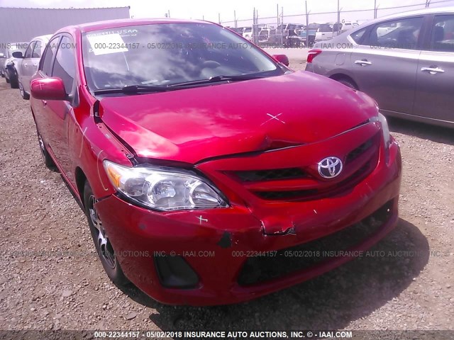 2T1BU4EEXBC567253 - 2011 TOYOTA COROLLA S/LE RED photo 6