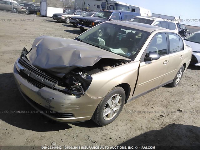 1G1ZT54824F125024 - 2004 CHEVROLET MALIBU LS GOLD photo 2