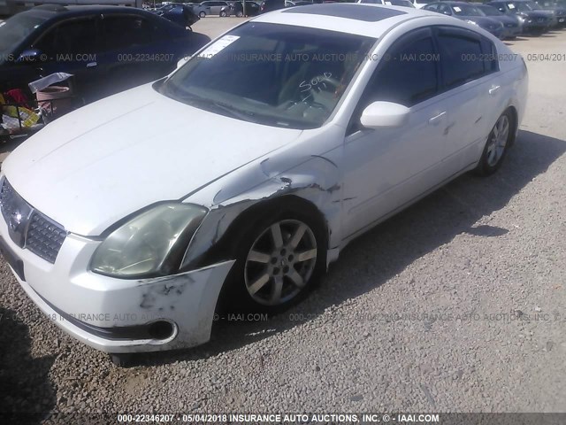 1N4BA41EX6C826908 - 2006 NISSAN MAXIMA SE/SL WHITE photo 6