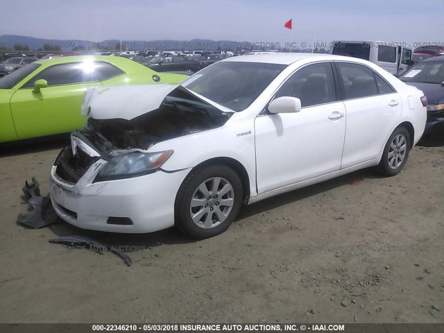 4T1BB46K67U009920 - 2007 TOYOTA CAMRY NEW GENERAT HYBRID WHITE photo 2