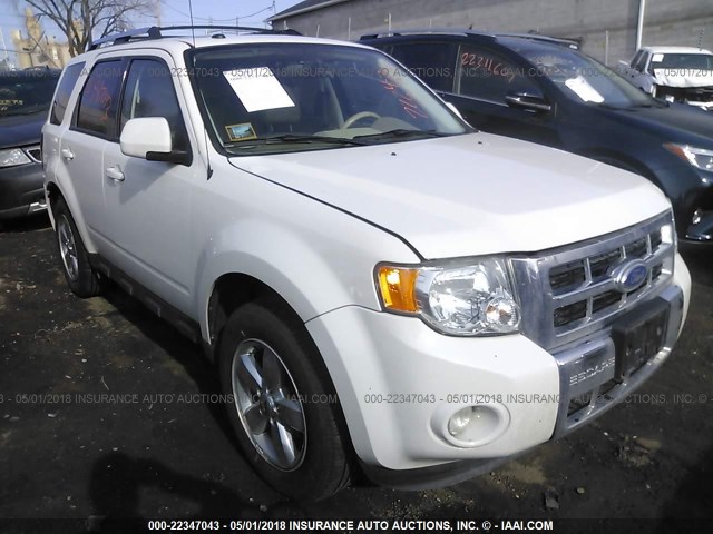 1FMCU9EG4BKC04038 - 2011 FORD ESCAPE LIMITED WHITE photo 1