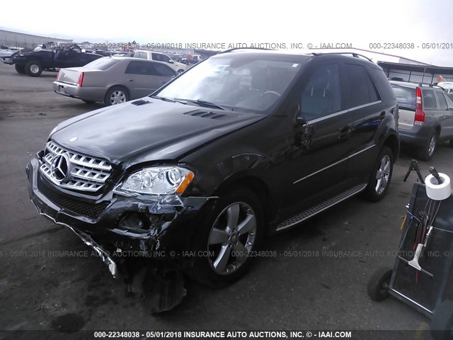 4JGBB8GBXAA610925 - 2010 MERCEDES-BENZ ML 350 4MATIC BLACK photo 2