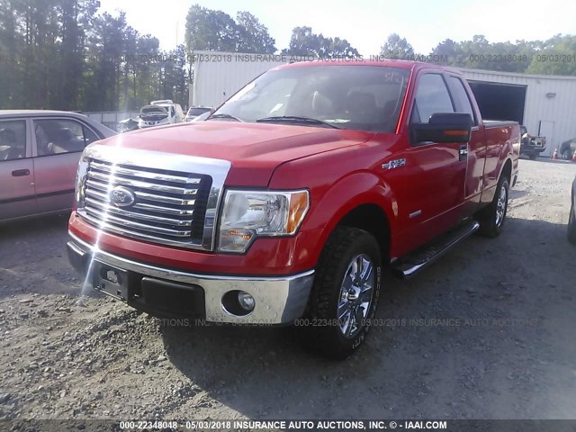 1FTFX1CT1BFD01183 - 2011 FORD F150 SUPER CAB RED photo 2