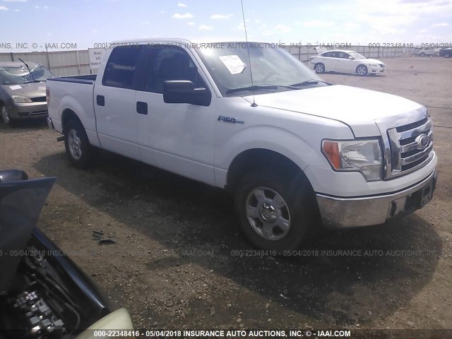 1FTEW1C87AFC55271 - 2010 FORD F150 SUPERCREW WHITE photo 1