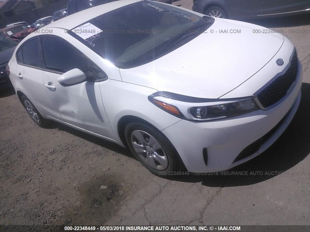 3KPFK4A72HE035181 - 2017 KIA FORTE LX WHITE photo 1