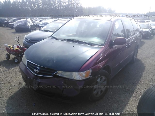 5FNRL18943B156068 - 2003 HONDA ODYSSEY EXL RED photo 2